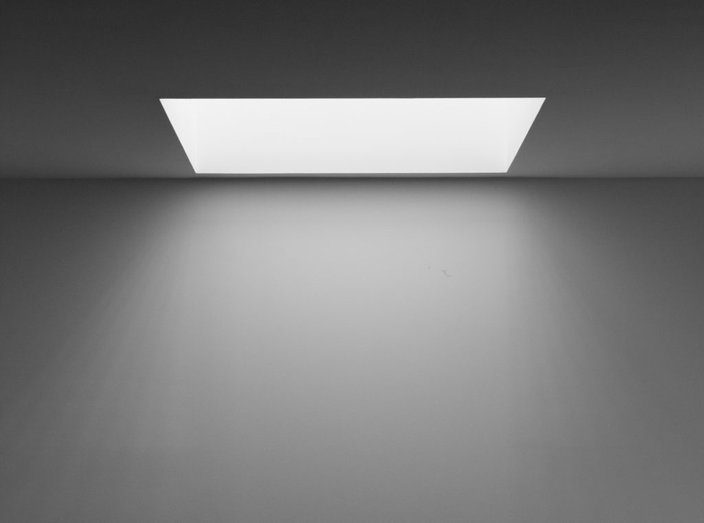 Photo by João Jesus